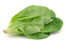 Government Issues E. Coli Warnings for Romaine Lettuce romaine