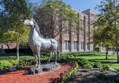 USC basketball greek trojan horse