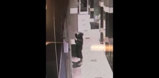 Police Seek Suspect Who Beat Victims With Bat in Downtown L.A.